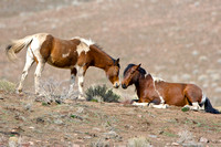 2B0P6517.jpg